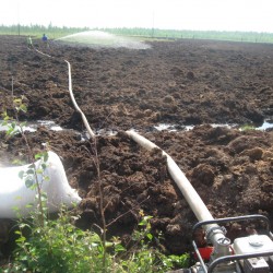 Внесение биопрепарата на нефтезагрязненный участок.
