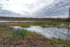 IMG_2016-09-01_084522_HDR.jpg