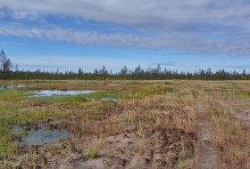 IMG_2016-09-01_084512_HDR.jpg