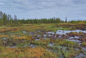 IMG_2016-09-01_085543_HDR.jpg