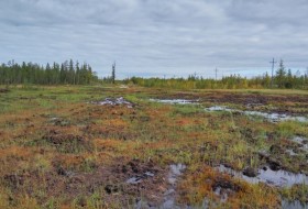 IMG_2016-09-01_085754_HDR.jpg