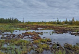 IMG_2016-09-01_085532_HDR.jpg
