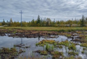 IMG_2016-09-01_085534_HDR.jpg