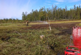WP_20150818_005.jpg